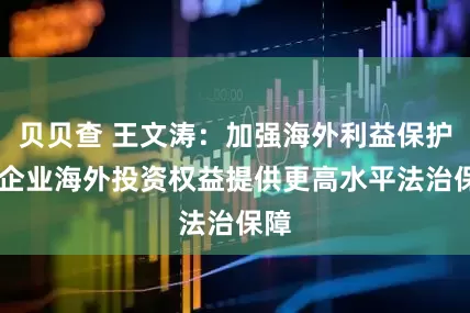 贝贝查 王文涛：加强海外利益保护 为企业海外投资权益提供更高水平法治保障