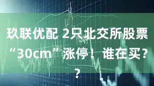 玖联优配 2只北交所股票“30cm”涨停！谁在买？