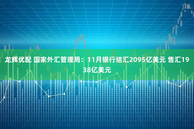 龙辉优配 国家外汇管理局：11月银行结汇2095亿美元 售汇1938亿美元